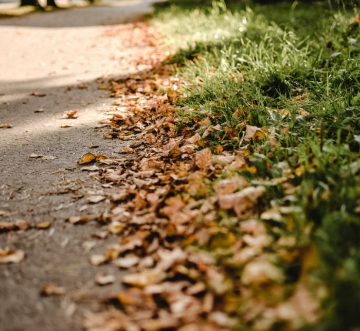 fall