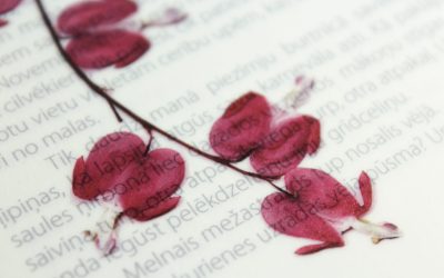 Categories of Injury in Personal Injury Law Cases