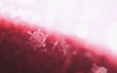 Four Important Facts about Spinal Cord Injuries