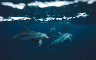 Are You Eligible for Workers’ Compensation Benefits?