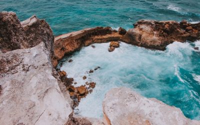 Things Everyone Should Know About Child Protective Services