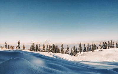 Seven Things You Need To Tell Your Divorce Lawyer Immediately