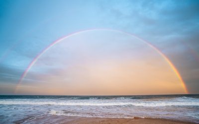 Ways To Divorce Without Going Broke