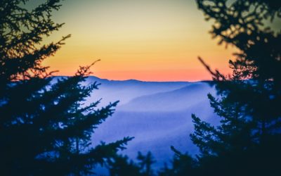 How To Contest A Speeding Ticket