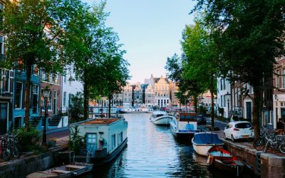 How To Know If You’ve Been Wrongfully Fired.