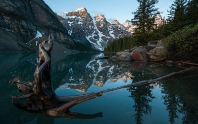 Common Mitigating Factors in a Criminal Sentencing