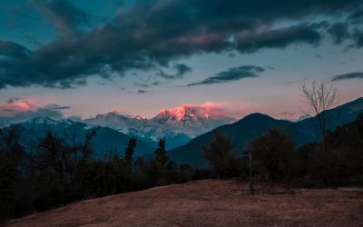 Is Making a Court Day Appearance Necessary for a Traffic Ticket Offense?