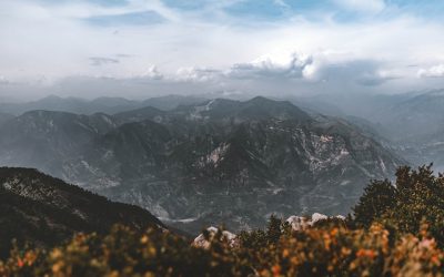 How a Lawyer Can Make a Difference in Your Child Support Arrangement