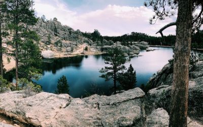 What You Need to Know About DUI Probation in Illinois