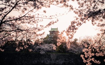 Understanding Class X Felonies in Illinois: What You Need to Know