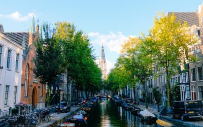 How Do I Fight My Traffic Ticket in Illinois?