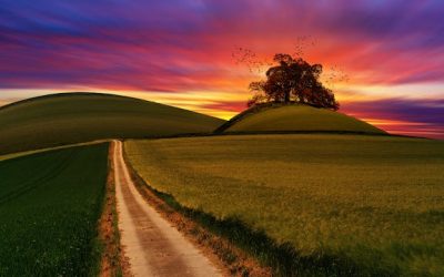 Illinois Domestic Battery vs. Aggravated Battery: What’s the Difference