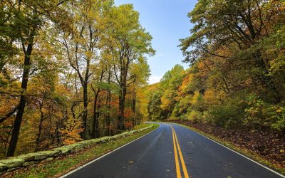 Common Types of Fraud And Penalties In Illinois