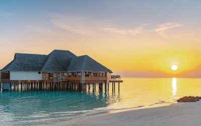 What Does A Criminal Defense Attorney Do?