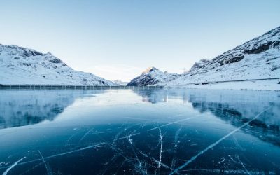 What Happens When You Go Bankrupt?