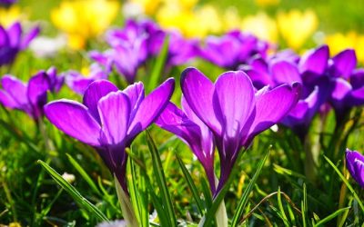 What Does Bankruptcy Do to My Credit Score?